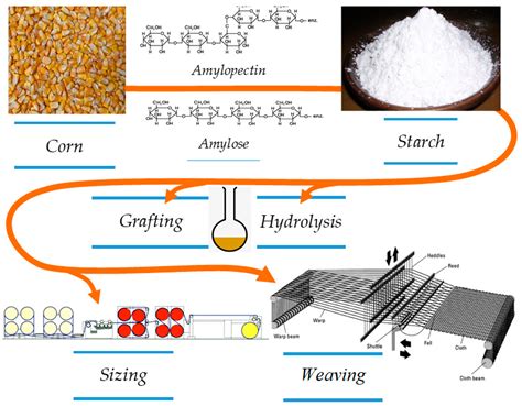  Cornderived Starch: Ein Wundermittel für die Papier- und Textilindustrie?!