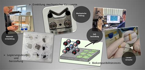  Quatsio: Die Geheimwaffe für Hochleistungs-Thermoplasten und innovative Biomedizinische Anwendungen?!